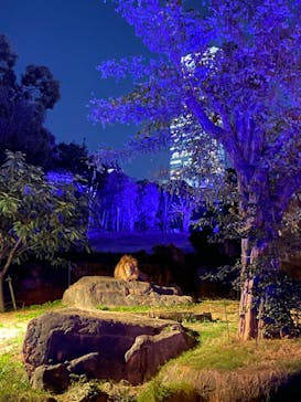 天王寺動物園に投稿された画像（2020/10/25）