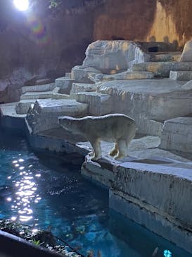 天王寺動物園に投稿された画像（2020/10/25）