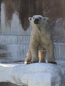 天王寺動物園に投稿された画像（2020/10/25）