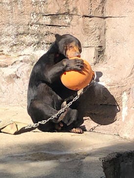 天王寺動物園に投稿された画像（2020/10/25）