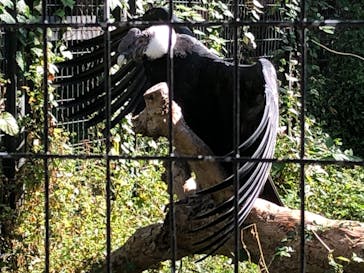 天王寺動物園に投稿された画像（2020/10/25）