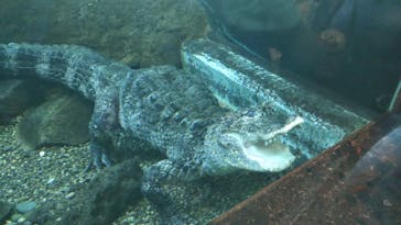 天王寺動物園に投稿された画像（2020/10/25）