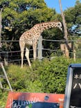 天王寺動物園に投稿された画像（2020/10/25）