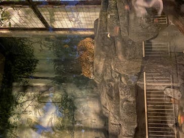 天王寺動物園に投稿された画像（2020/10/25）