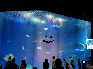 アクアワールド茨城県大洗水族館に投稿された画像（2020/10/25）
