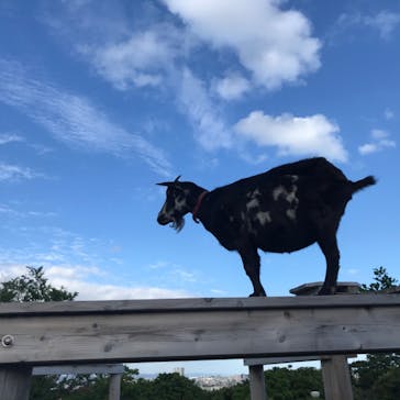 沖縄こどもの国に投稿された画像（2020/10/25）