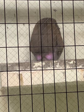 天王寺動物園に投稿された画像（2020/10/25）