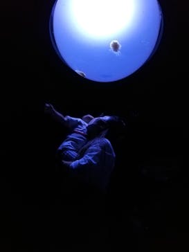 サンシャイン水族館に投稿された画像（2020/10/25）