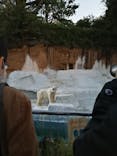 天王寺動物園に投稿された画像（2020/10/25）