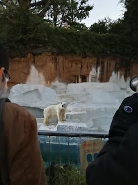 天王寺動物園に投稿された画像（2020/10/25）