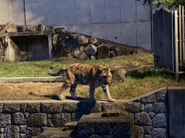 天王寺動物園に投稿された画像（2020/10/25）
