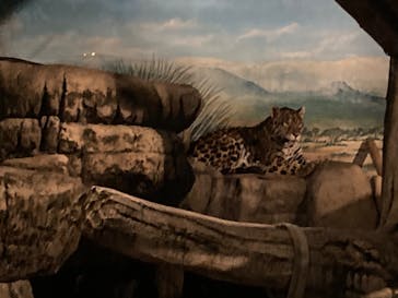 天王寺動物園に投稿された画像（2020/10/25）