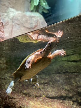 サンシャイン水族館に投稿された画像（2020/10/25）