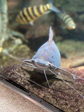 サンシャイン水族館に投稿された画像（2020/10/25）