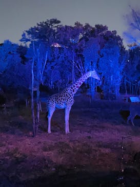 天王寺動物園に投稿された画像（2020/10/25）