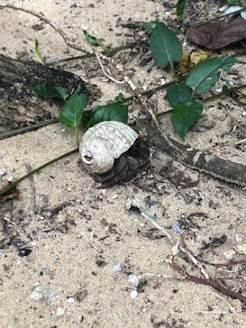 CHOROに投稿された画像（2020/10/25）