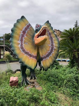 伊豆ぐらんぱる公園に投稿された画像（2020/10/25）