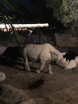 天王寺動物園に投稿された画像（2020/10/25）