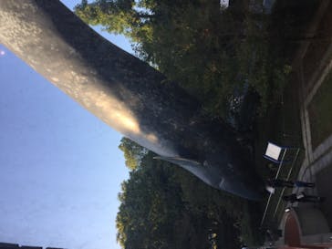 国立科学博物館に投稿された画像（2020/10/25）