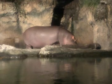 天王寺動物園に投稿された画像（2020/10/25）