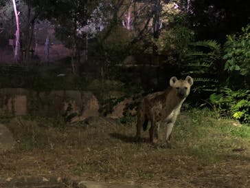 天王寺動物園に投稿された画像（2020/10/25）