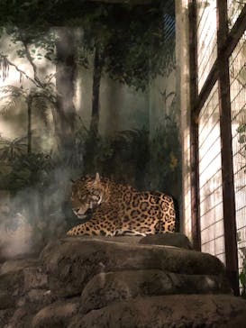 天王寺動物園に投稿された画像（2020/10/25）