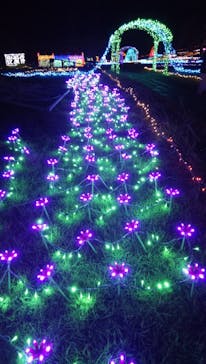 つま恋リゾート 彩の郷に投稿された画像（2020/10/25）