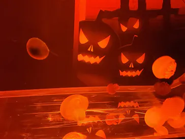 すみだ水族館に投稿された画像（2020/10/25）