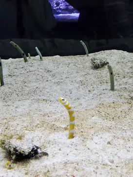 すみだ水族館に投稿された画像（2020/10/25）