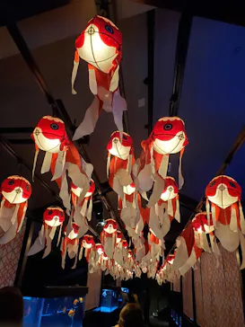 すみだ水族館に投稿された画像（2020/10/25）