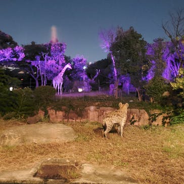 天王寺動物園に投稿された画像（2020/10/25）