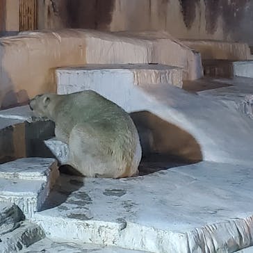 天王寺動物園に投稿された画像（2020/10/25）