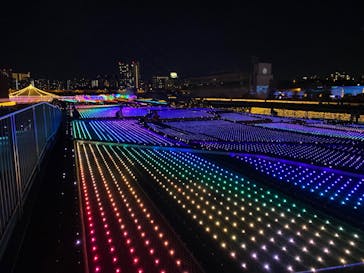 東京メガイルミに投稿された画像（2020/10/25）