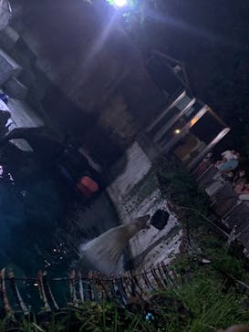 天王寺動物園に投稿された画像（2020/10/25）