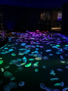 すみだ水族館に投稿された画像（2020/10/25）