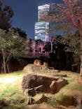 天王寺動物園に投稿された画像（2020/10/25）