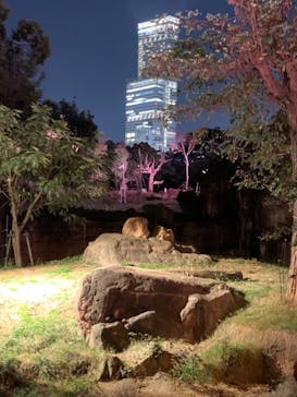 天王寺動物園に投稿された画像（2020/10/25）