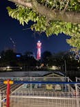 天王寺動物園に投稿された画像（2020/10/25）