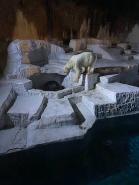 天王寺動物園に投稿された画像（2020/10/25）