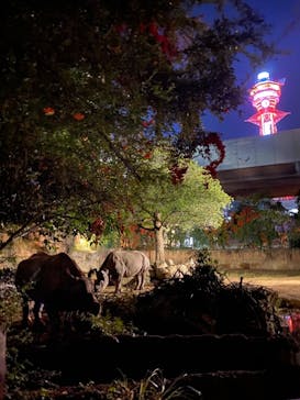 天王寺動物園に投稿された画像（2020/10/25）