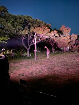 天王寺動物園に投稿された画像（2020/10/25）