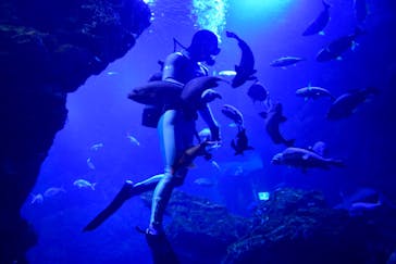 京都水族館に投稿された画像（2020/10/25）