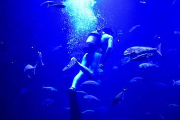 京都水族館に投稿された画像（2020/10/25）