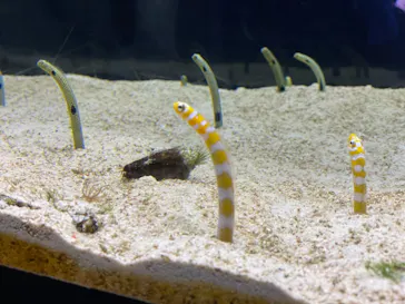 すみだ水族館に投稿された画像（2020/10/25）