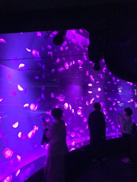 サンシャイン水族館に投稿された画像（2020/10/25）