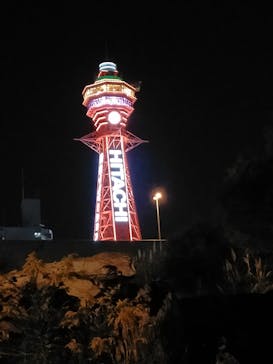 天王寺動物園に投稿された画像（2020/10/25）