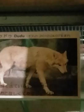 天王寺動物園に投稿された画像（2020/10/25）