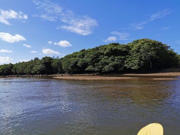 CHOROに投稿された画像（2020/10/25）