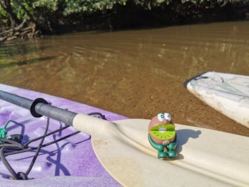 CHOROに投稿された画像（2020/10/25）