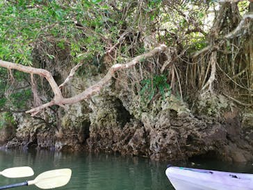 CHOROに投稿された画像（2020/10/25）